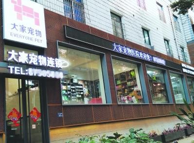 宠物寄养市场渐红火供不应求选择需谨慎